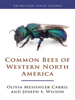 cover image of Common Bees of Western North America